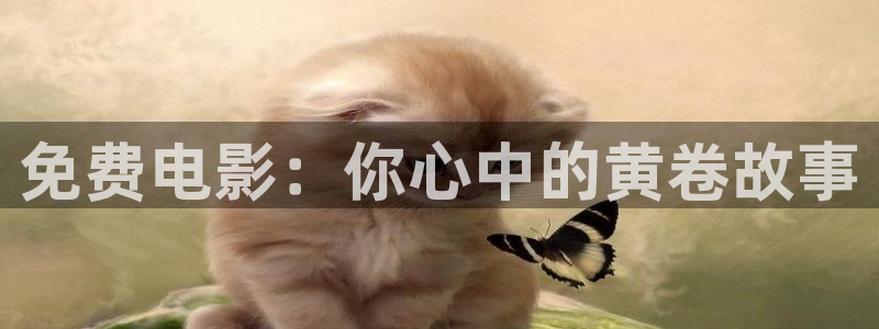 神马影院日韩伦理