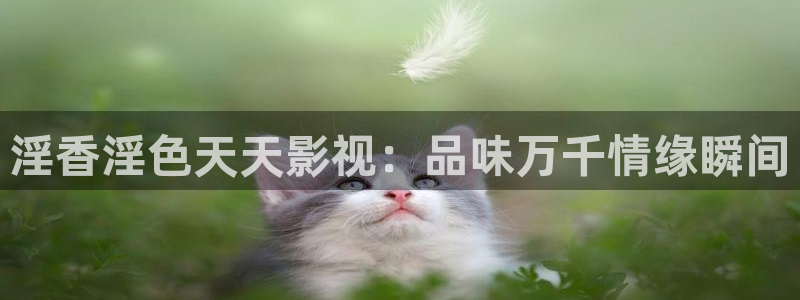 神马午夜伦理不卡电影