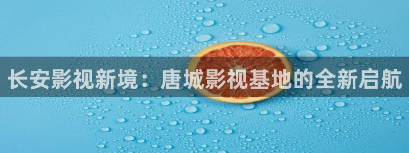 神马理论影院电影