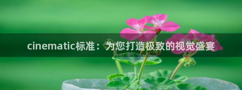 神马影院重口味